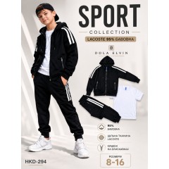 Cпортивні трикотажні костюми трійки для хлопчиків,щільна тканина LACOSTE 95 % бавовна . Розміри 8-16. Фірма DOLA ELVIN. Польща. Cпортивні трикотажні костюми трійки для хлопчиків,щільна тканина LACOSTE 95 % бавовна . Розміри 8-16. Фірма DOLA ELVIN. Польща.